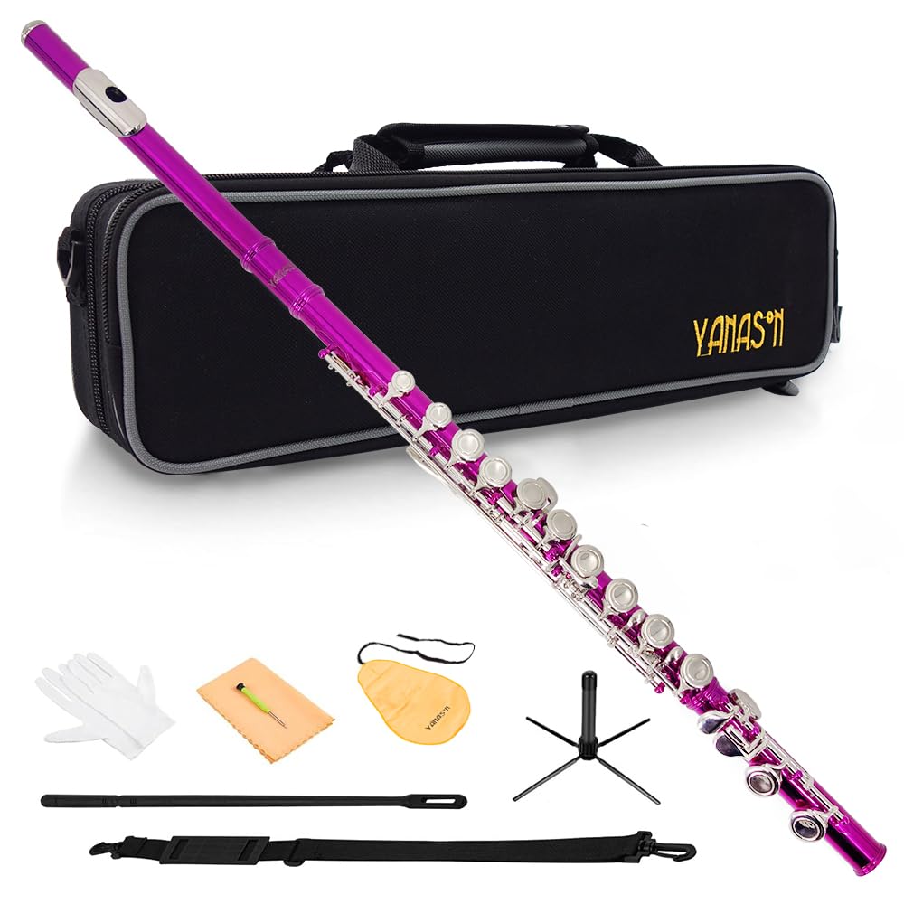 Amazon.com: YANASON Pink C Flute Closed Hole 16 Keys Flute Nickel